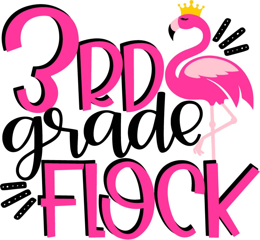 3rd Grade Flock