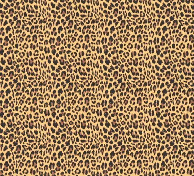 Cheetah darker