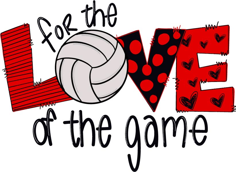 For the Love of the Game (volleyball)