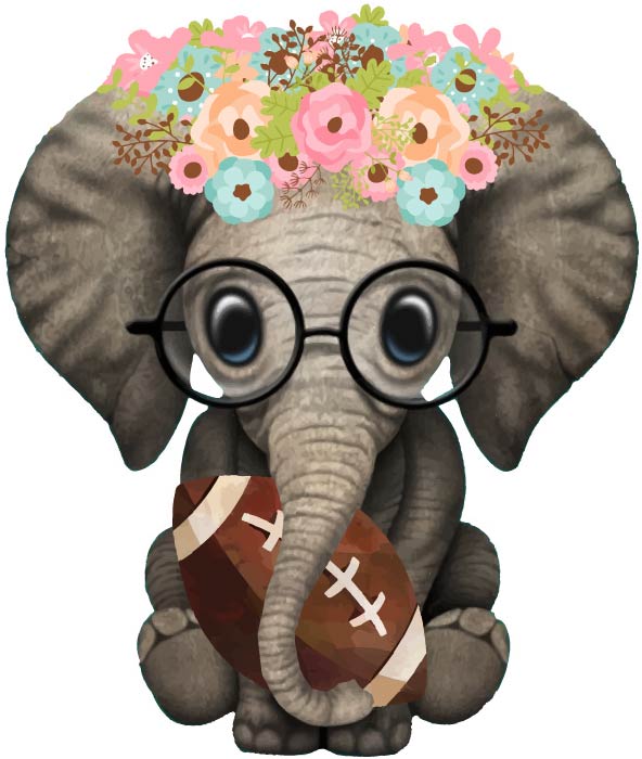 Elephant with Flowers and Football