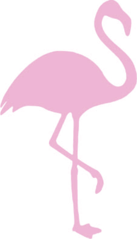 Flamingo Pink