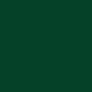 Dark Green - Oracal 651 12" - 060 - Champion Crafter 