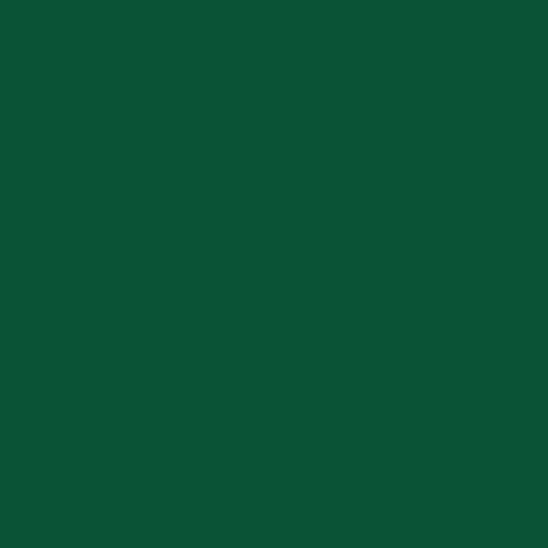 Forest Green - Oracal 651 12