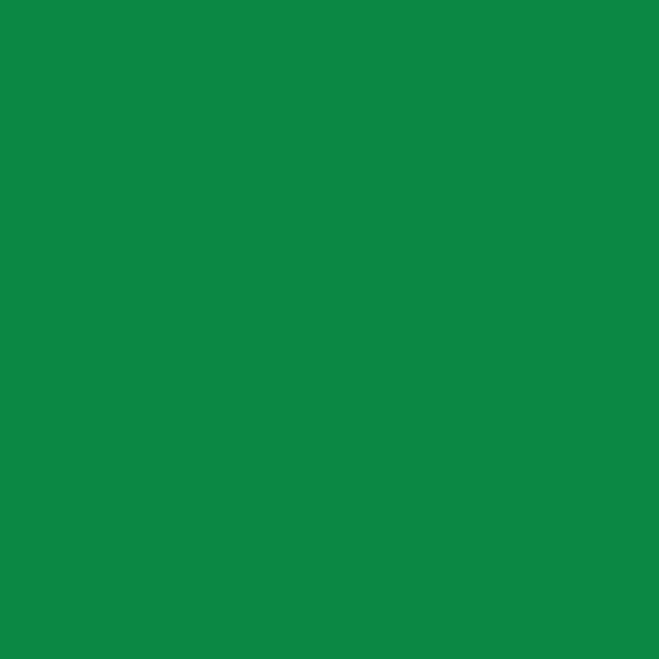 Light Green - Oracal 651 12