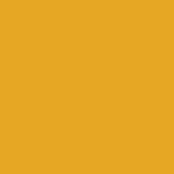 Signal Yellow - Oracal 651 12