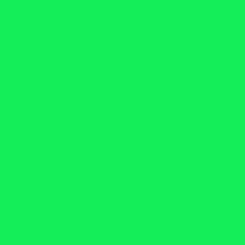 FL Green - Siser EasyWeed 15