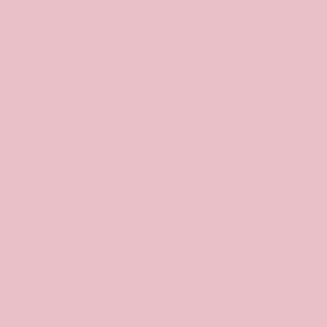 Light Pink - Siser EasyWeed 15" HTV - Champion Crafter 