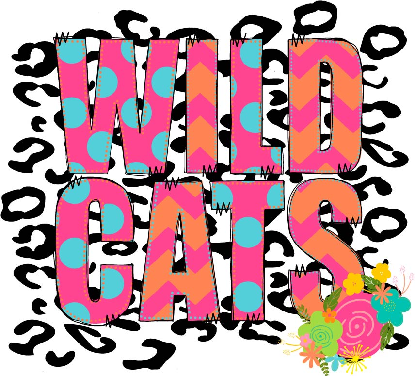 Wildcats (pink and blue letters on leopard background)